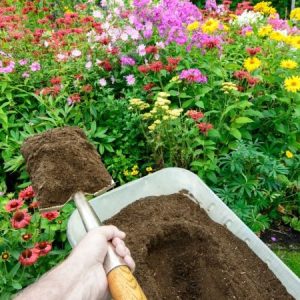 House Garden Fertilizer