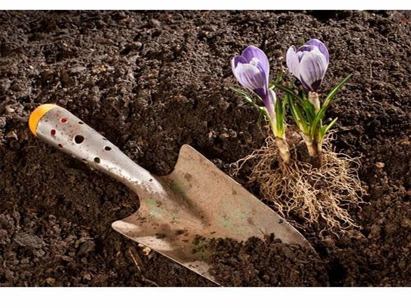 Organic Manure Fertilizer manufacturer in Vasai Mumbai Maharashtra India