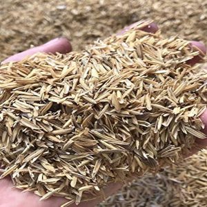 Dry Rice Husk