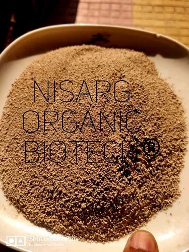 Steam Bone Meal - Image 2