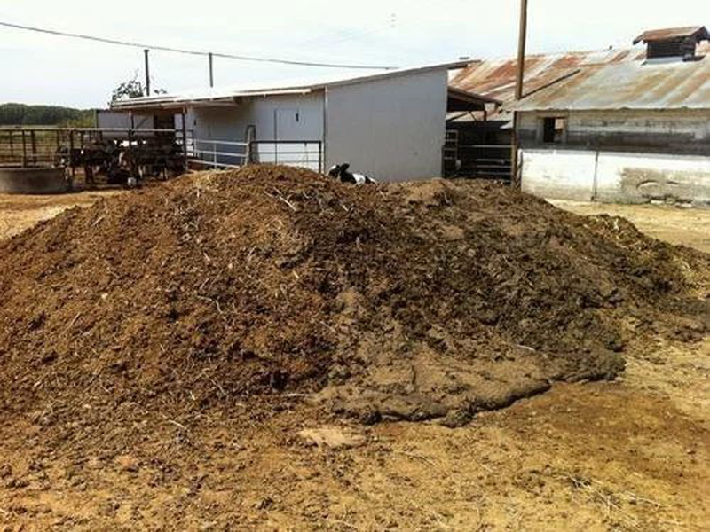 Buffalo Dung Compost manufacturer in Vasai Mumbai Maharashtra India