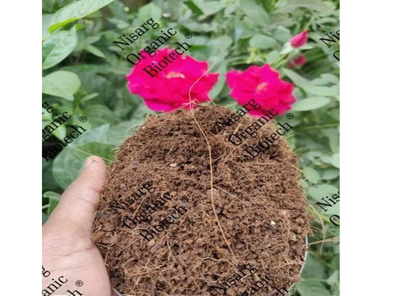 Organic Fertilizer - Image 4