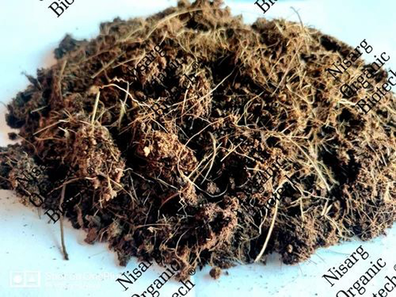 Goat Dung Organic Manure manufacturer in Vasai Mumbai Maharashtra India