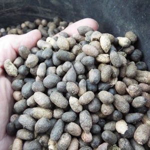 Goat Dung Organic Manure